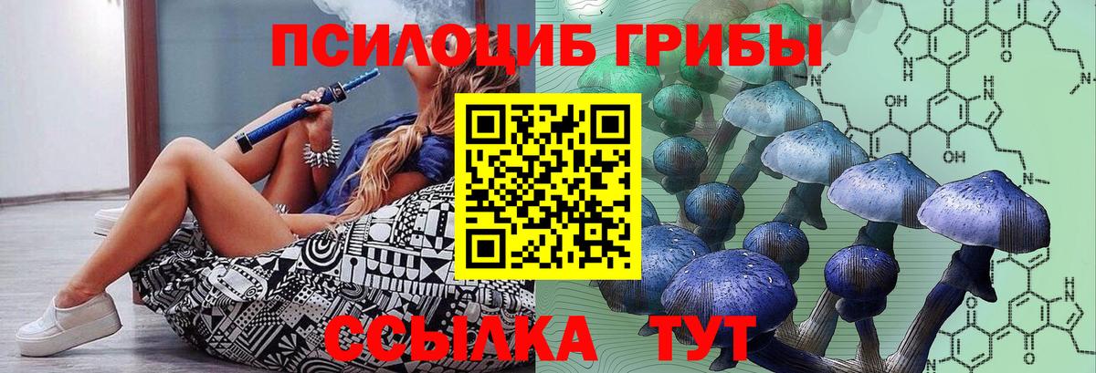 Галлюциногенные грибы мицелий Кизилюрт
